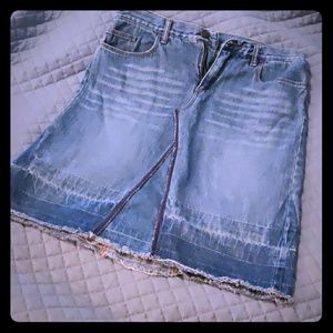 Express Jeans Denim Skirt
